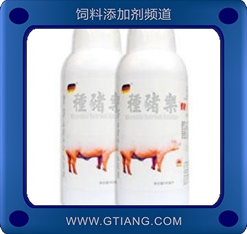 種豬樂.jpg