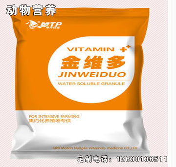 金維多.jpg