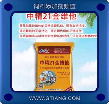 中精21金維他.jpg