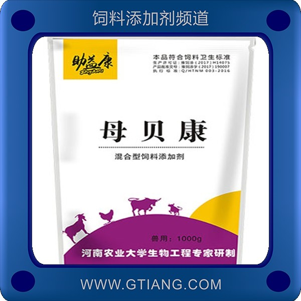 母貝康.png