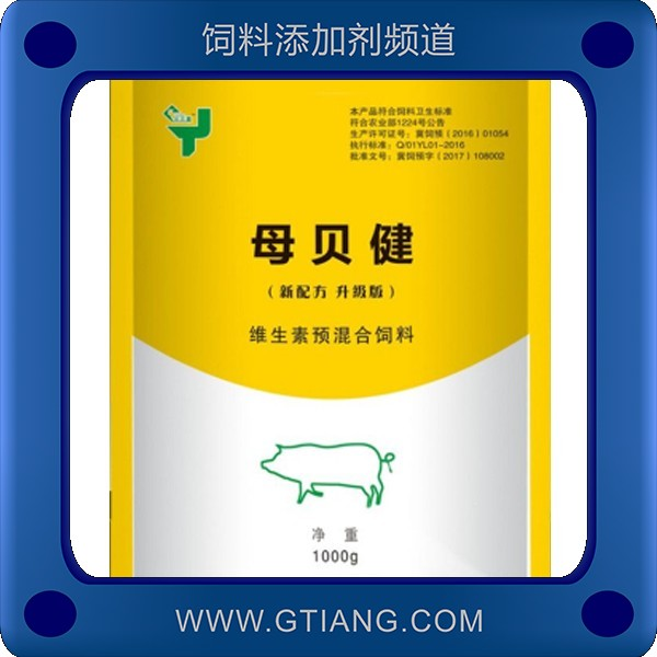 母貝健.png