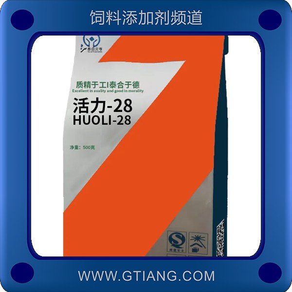 活力-28.jpg