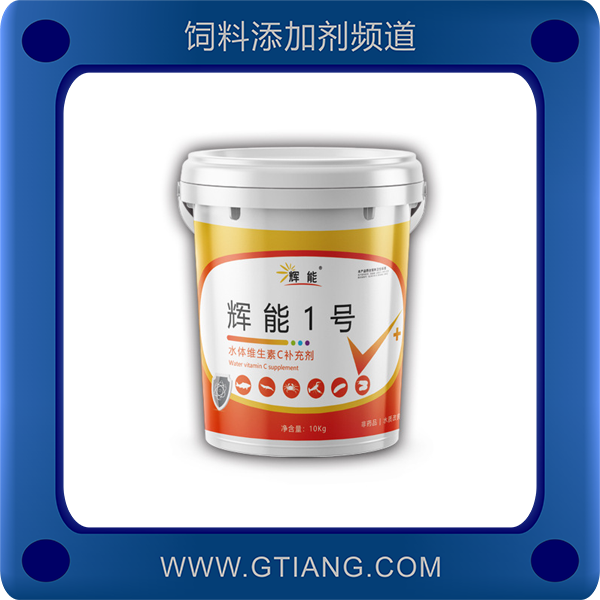 輝能1號.png